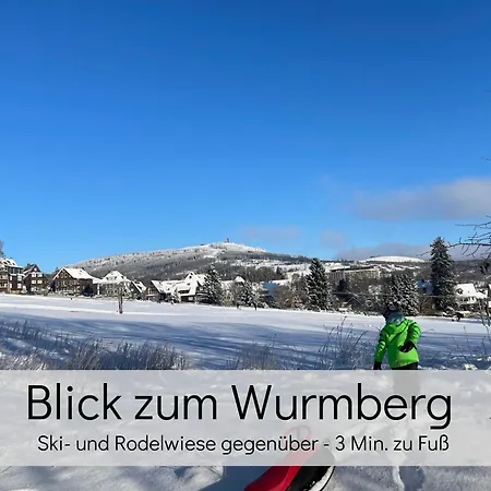 Lalelou Braunlage, Perfekt Fuer Familien, Zentral Mit Garten 120Qm, Inkl Waeschepaket Und Wlan, Boxspringbett, 6 Personen Extérieur photo