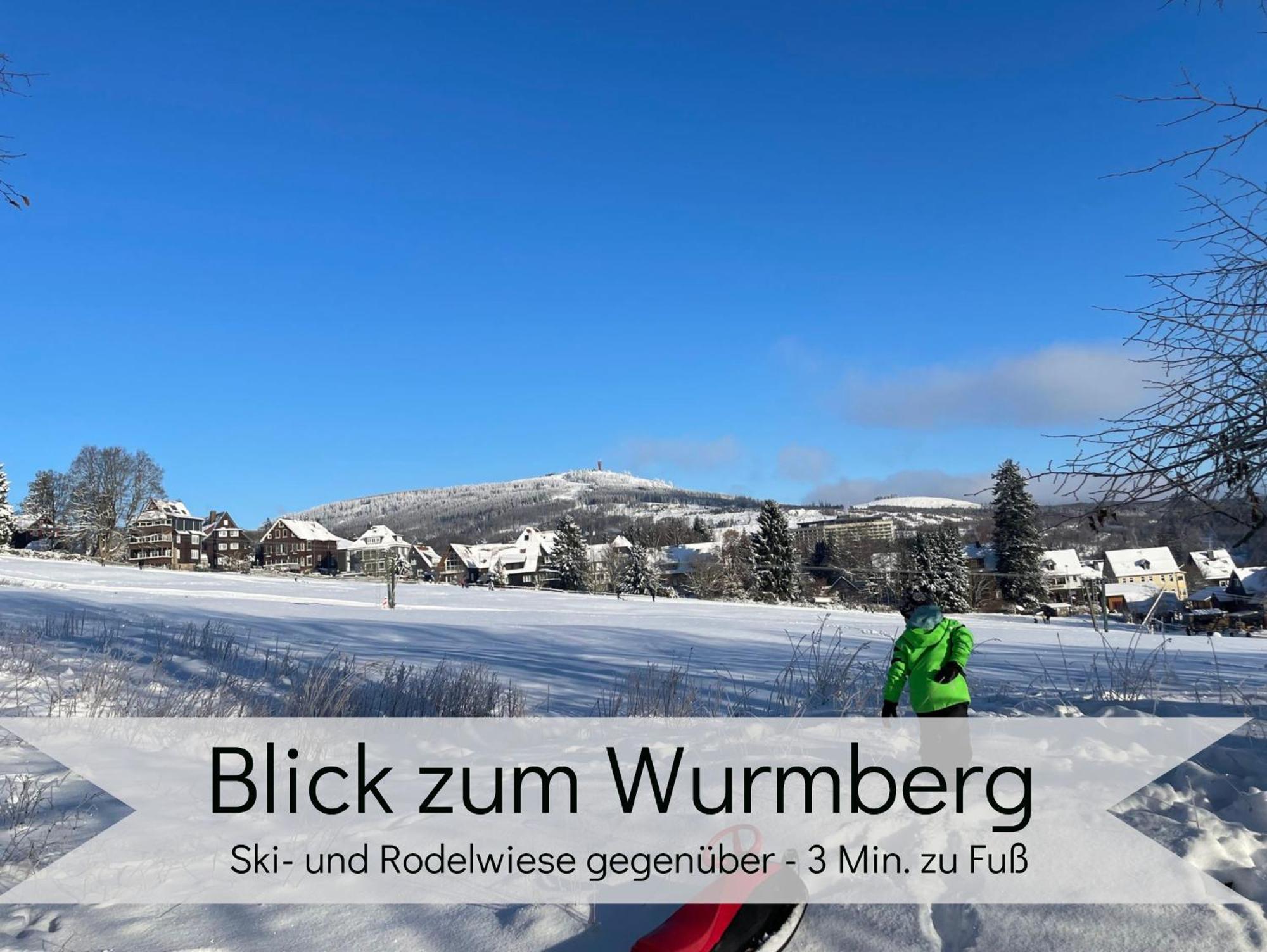 Lalelou Braunlage, Perfekt Fuer Familien, Zentral Mit Garten 120qm, Inkl Waeschepaket Und Wlan, Boxspringbett, 6 Personen